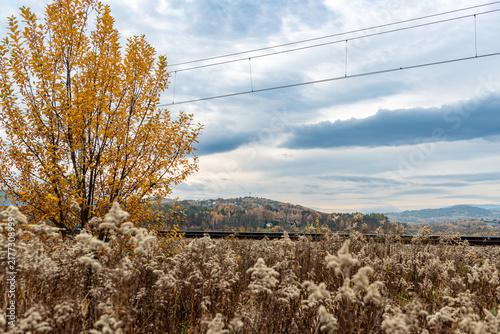 Bild auf Leinwand Golden autumn tree and wild vegetation beside an electrified railway near Stryszow