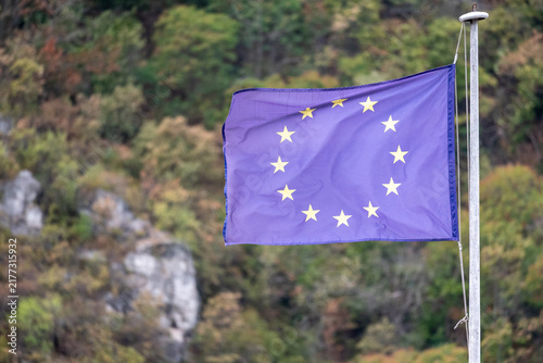 Konstfotografi European Union Flag Flying Against Autumn Forest Background