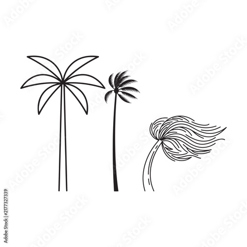 Palm tree silhouettes depict tropical foliage in a linear style