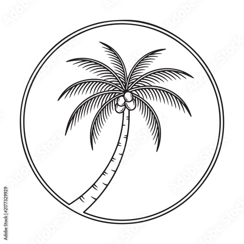 Palm tree illustration within a circular frame black and white design