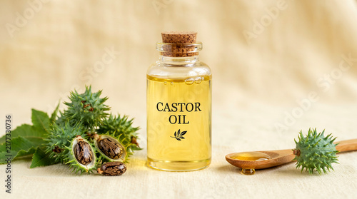 castor oil in bottle with castor fruit and beens, soft cream yellow background