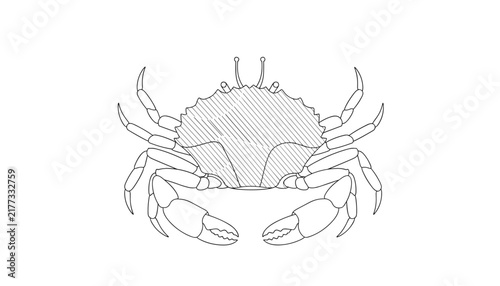 Detailed black and white sketch of a crab with intricate crosshatching lines, simple cartoon vector line art on white background.