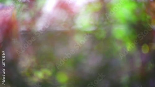 Soft pastel color bokeh lights creating an abstract, blurry background, featuring gentle pink, green, and purple hues with a smooth texture for design elements