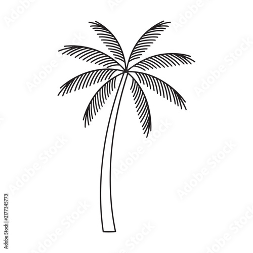 Palm tree silhouette against a white background simple line art style