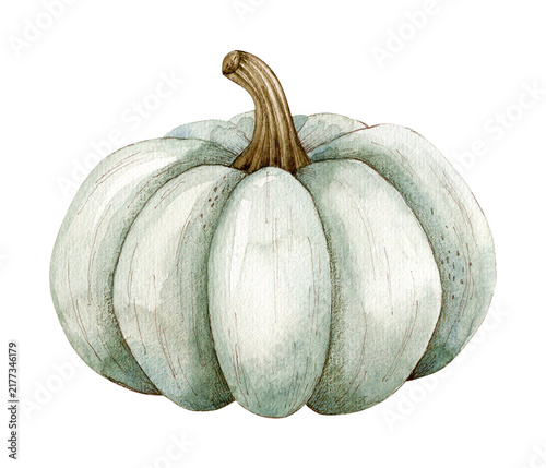 Watercolor hand drawn illustration blue pumpkin. It is fall art. Use for decor.
