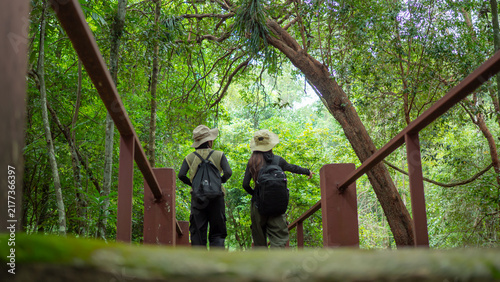 Photography Two Asian female hikers with backpacks walk on a wooden bridge, pointing ahead along a lush green forest trail