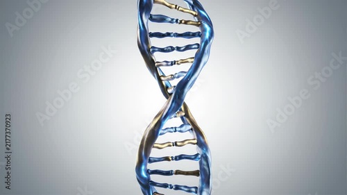 Rotating glossy blue and gold DNA double helix loop on light gray background