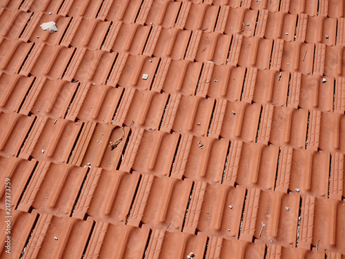 Clay roof tiles