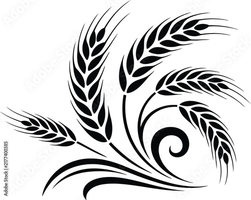 Stylized ears of wheat in black on white, agricultural grain symbol for farming, harvest, food production, bakery, organic products, Vector, illustration, design, concept.