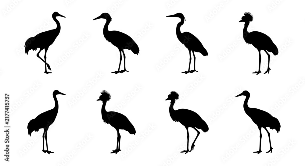 Fototapeta premium Elegant Crane Silhouettes, Graceful Bird Poses, Wildlife Vector Icons, Nature Wildlife Graphics, Black and White Avian Art