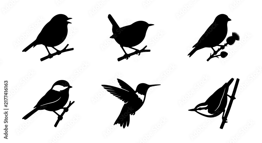 Fototapeta premium Vector Silhouettes of Six Diverse Birds Perched and Flying, Black and White Avian Icons for Nature and Wildlife Designs