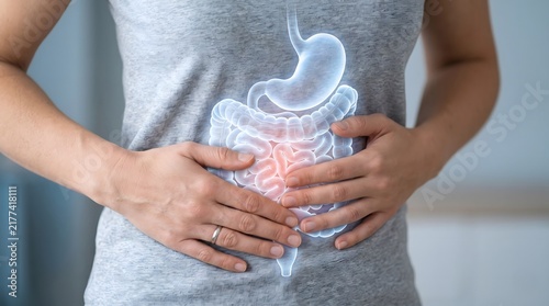 A person holding their abdomen with a digital overlay showing the human digestive system.