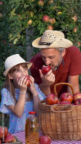 Blue-Eyed Girl and Farmer Father Enjoying Fresh Apples Together. Father and daughter taste freshly picked fruit during the September harvest in warm afternoon sunlight.