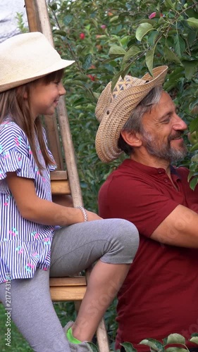 Father and Daughter Picking Apples Together in Family Orchard. Loving father helps his daughter choose a fresh apple during the autumn harvest, celebrating family bonding and healthy farm life.