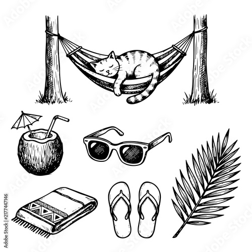 Hand drawn summer vacation elements set with sleeping cat in hammock