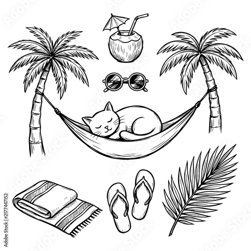 Hand drawn summer travel doodles set with cat sleeping in hammock and palm trees