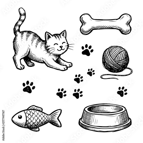 Cute cat stretching with pet supplies vector sketch collection