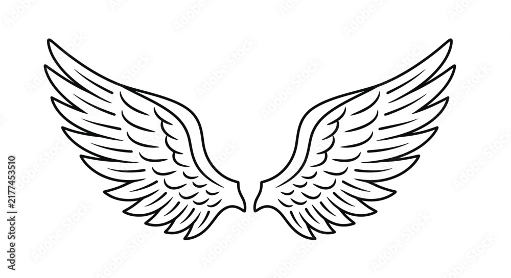 Fototapeta premium Spread wings illustration features a black and white linear design