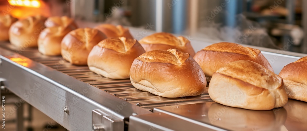 Obraz premium Freshly baked bread loaves travelling on conveyor belt in bakery