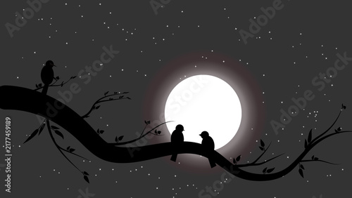 Two Bird Silhouettes on Tree Branch Under Full Moon and Starry Night Sky