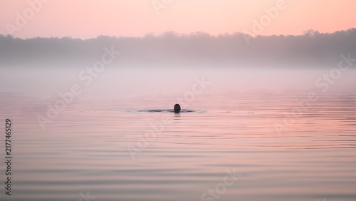 Lone swimmer far out in a calm lake at dawn, wild swimming
