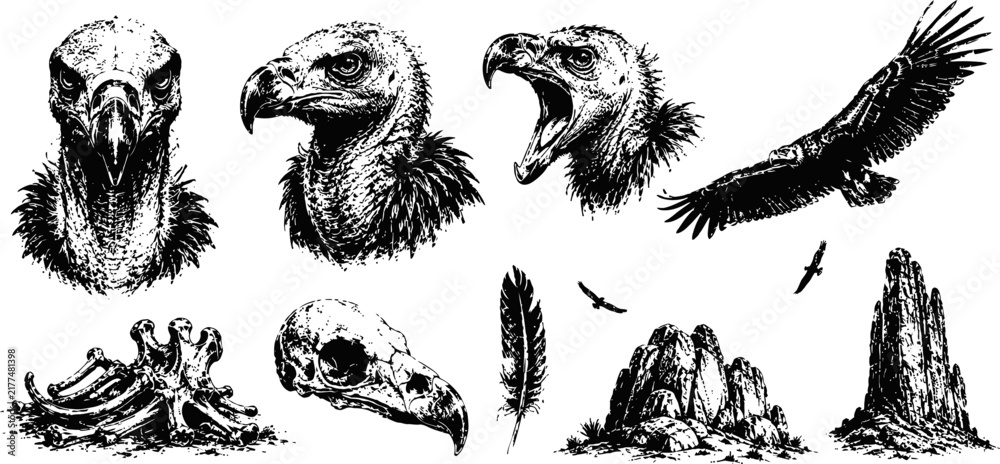Fototapeta premium vulture illustrations and skulls black and white detailed bird heads, flying wings, skeletal remains and rocky landscape