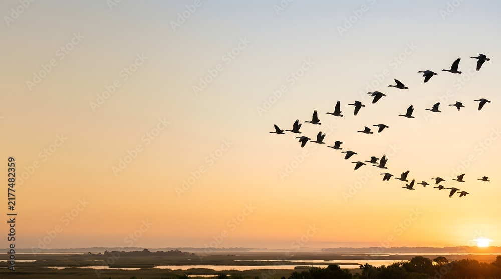 Fototapeta premium Migratory birds flying over wetland landscape during golden sunrise representing wildlife migration, natural beauty and environmental conservation