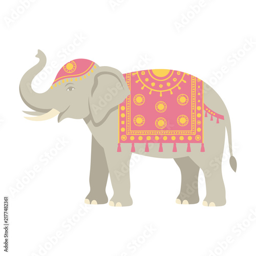 Decorated elephant with pink and orange blanket standing still