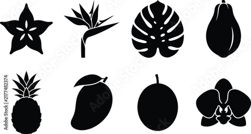 Silhouette collection of tropical fruits exotic flowers and botanical jungle leaves isolated on white