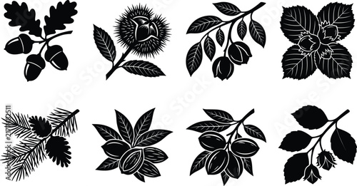 Silhouette vector set of autumn forest nuts including acorns chestnuts hazelnuts and pine cones