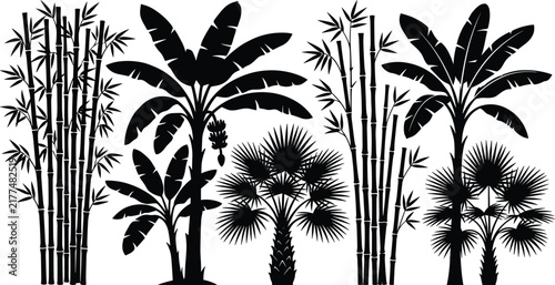 Silhouette vector collection of tropical bamboo, banana trees, and fan palms isolated on white background