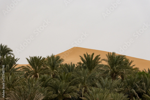 2026-maroc 1743
