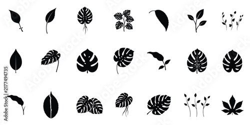 Set of black tropical leaves silhouettes including monstera and various exotic foliage isolated on a white background