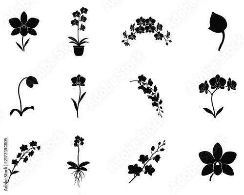 Set of black silhouette orchid flowers and blooming branches isolated on a white background for floral design and nature projects
