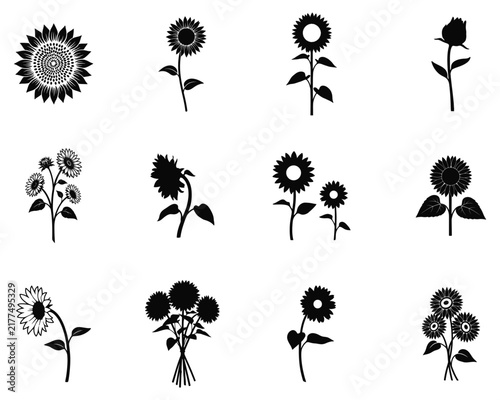 Set of black sunflower silhouettes isolated on white background for graphic design and decorative floral illustration elements