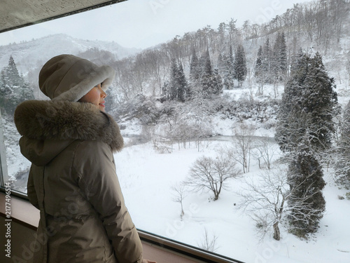 Beautiful view outside the window. Snow falling outside the window.