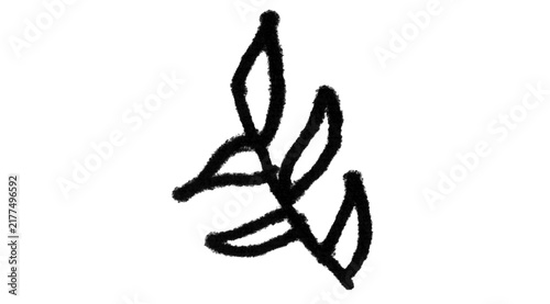 Hand drawn doodle tree branch with leaves, black outline twig freehand sketch on white background for nature clipart and design elements
