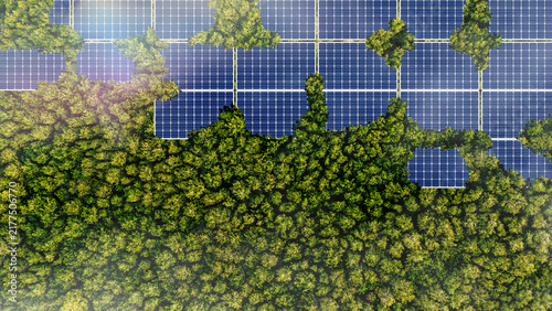 Solar panels installed in the green forest Clean alternative energy concept. Environment, solar energy, generator.