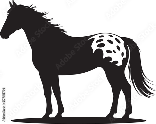 Foto Appaloosa horse silhouette stands against a white background showcasing distinct