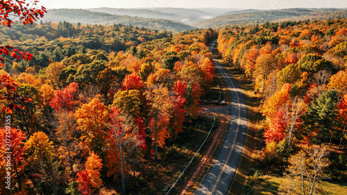 Aerial view of winding country road through autumn forest with fall foliage
