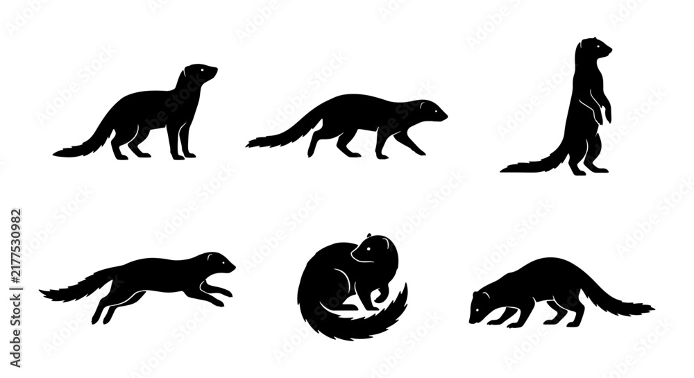 Obraz premium Set of 6 Black Silhouette Vector Icons: Ferret, Meerkat, Weasel Poses, Wildlife Animal Graphics