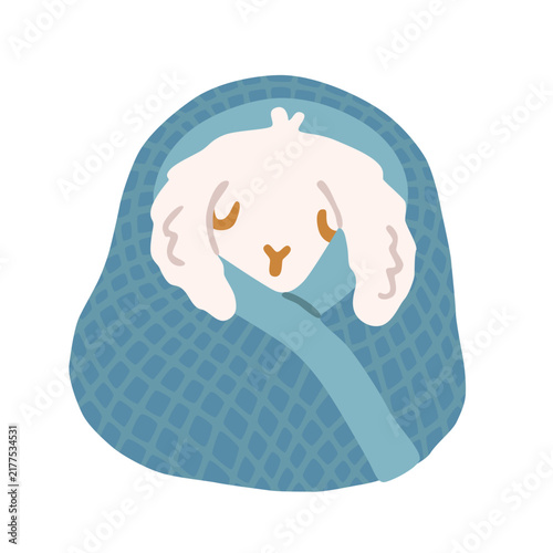 Cute white rabbit sleeping under a blue dotted blanket, with long ears and closed eyes, Flat vector illustration, hand drawn, isolated on white background.
