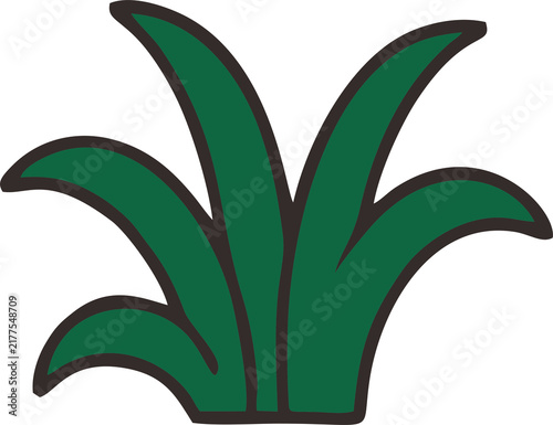 Grass