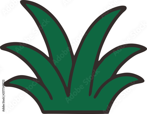 Grass