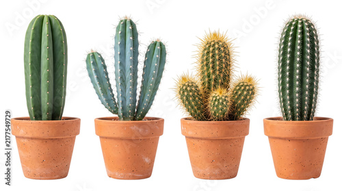 Quadro su tela Four potted cacti of varying types on png on isolated transparent background