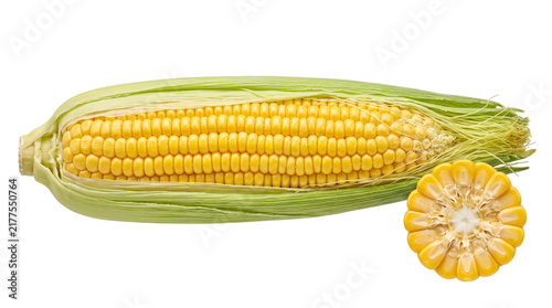 Quadro su tela Fresh corn cob with husk and png on isolated transparent background