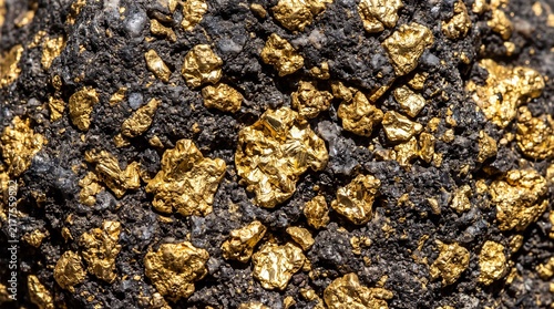 Natural Gold Nuggets Embedded in Dark Ore Rock