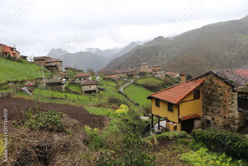 Rural