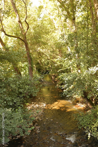 Arboleda