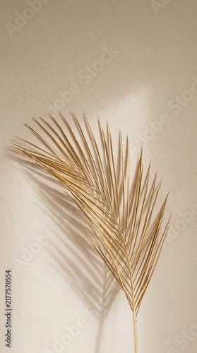 Dried palm leaf casting soft shadows on a beige textured plaster wall in warm natural sunlight